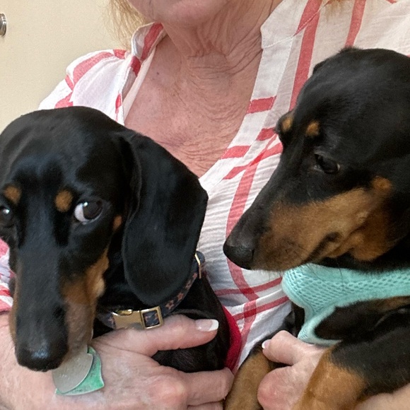 Meet your Posher, Marilyn - Picture 2 of 3